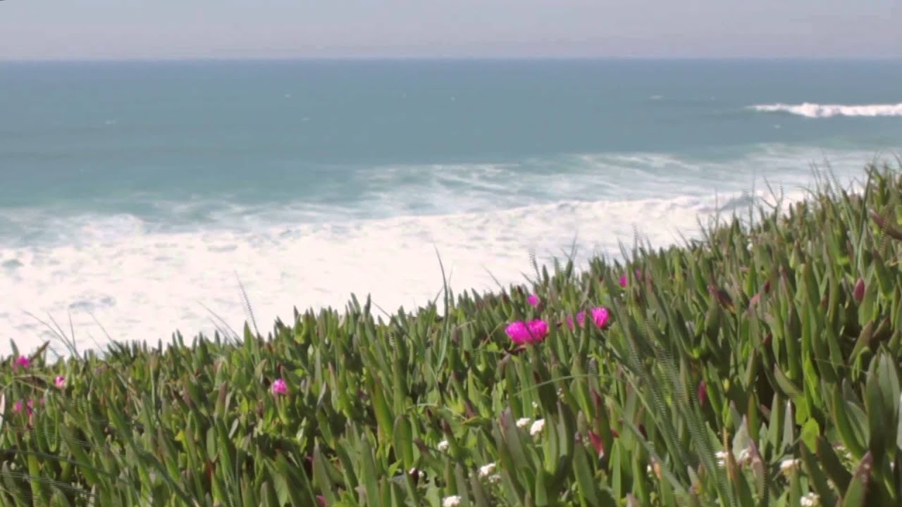 Costa da Prata