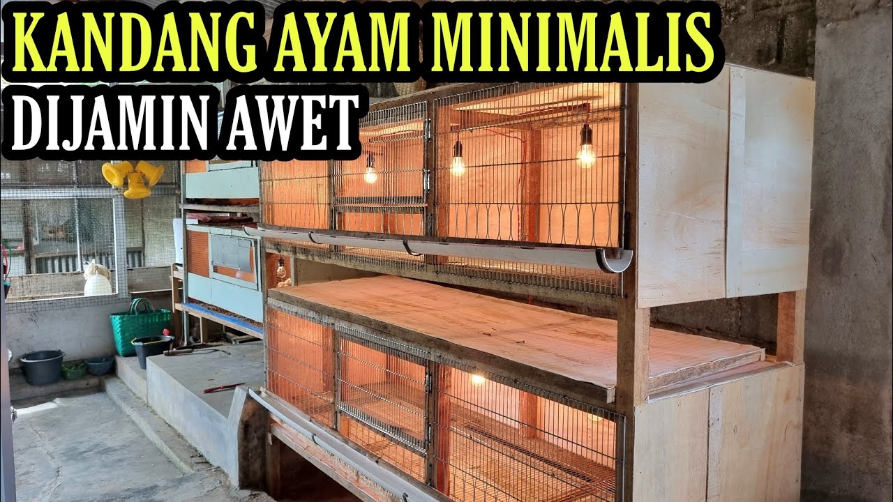 KANDANG AYAM PANGGUNG SUPER AWET💯