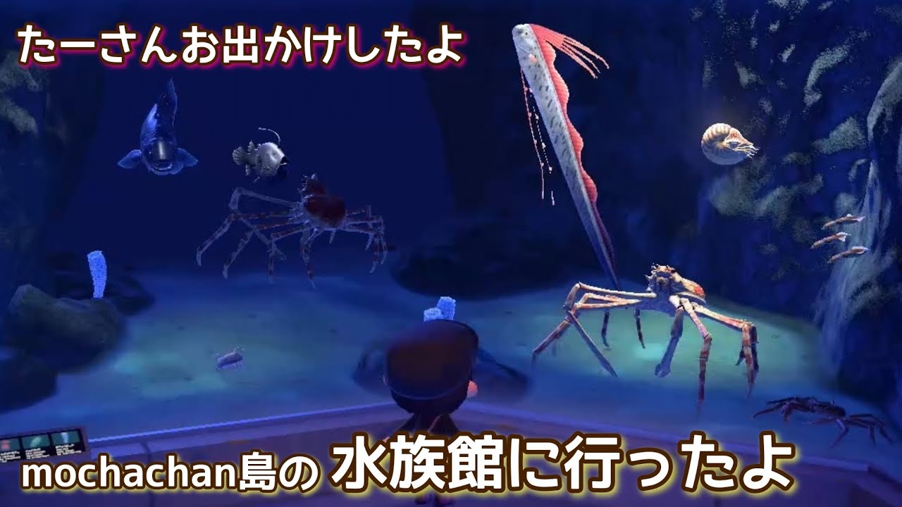 本編動画【あつ森】一緒に水族館に行きませんか？@たーさんの趣味の部屋 #たーさんお出かけしたよ 