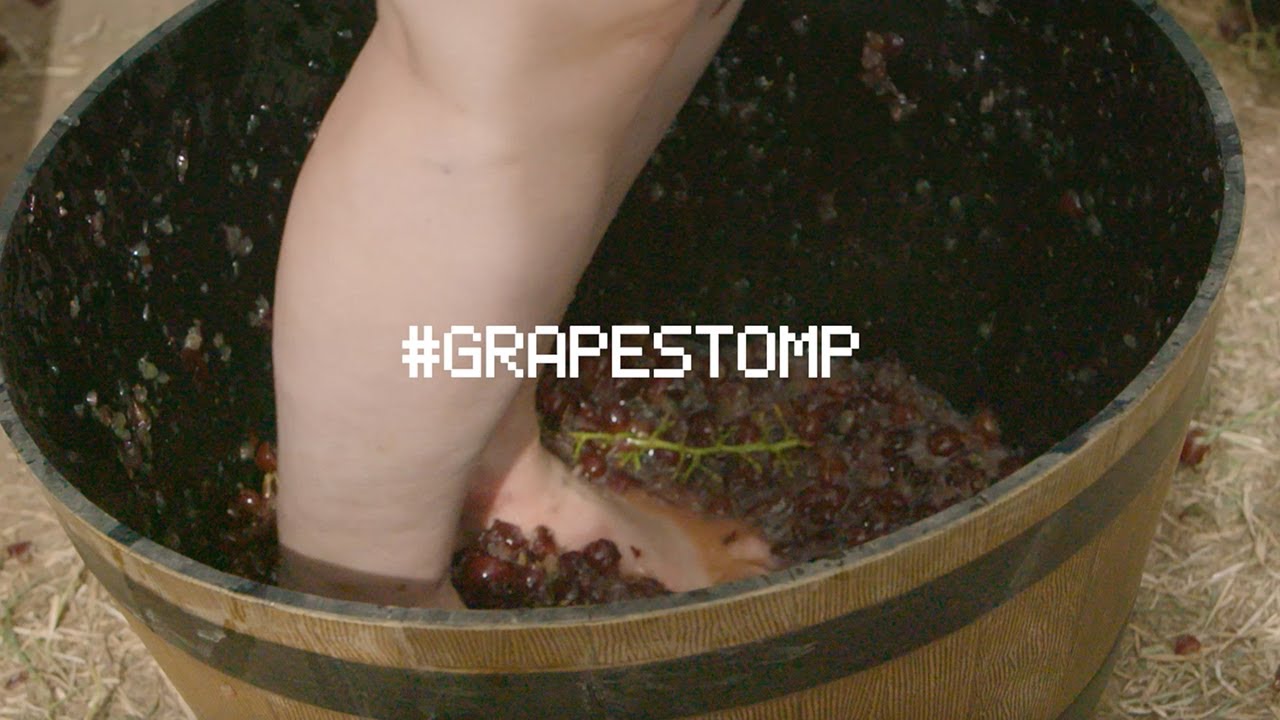 Grape Games #3 — Grape Stomp 🍇