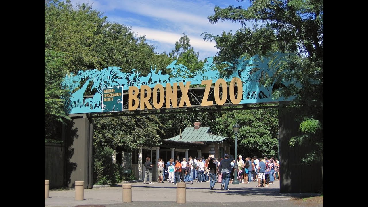 UN DÍA DE PASEO EN EL ZOOLÓGICO DE BRONX NEW YORK