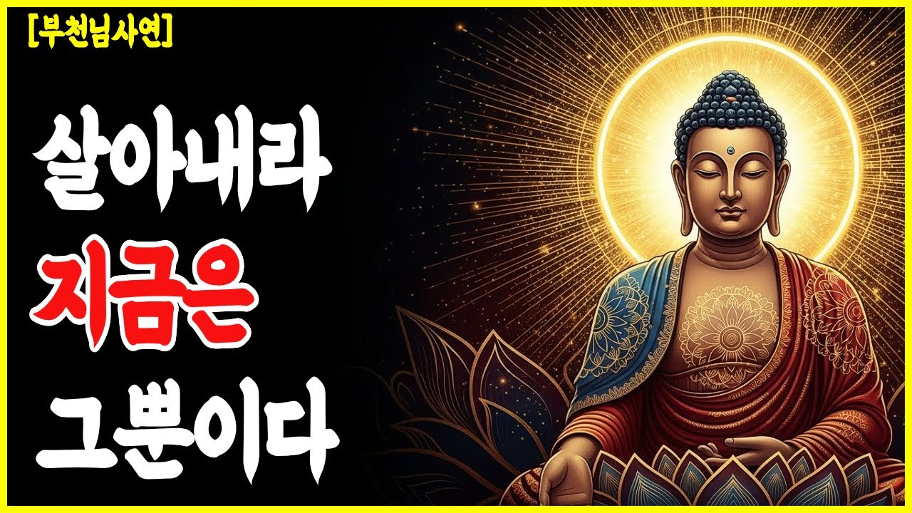 살아내라, 지금은 그뿐이다｜지친 마음을 바꾸는 3가지 관점