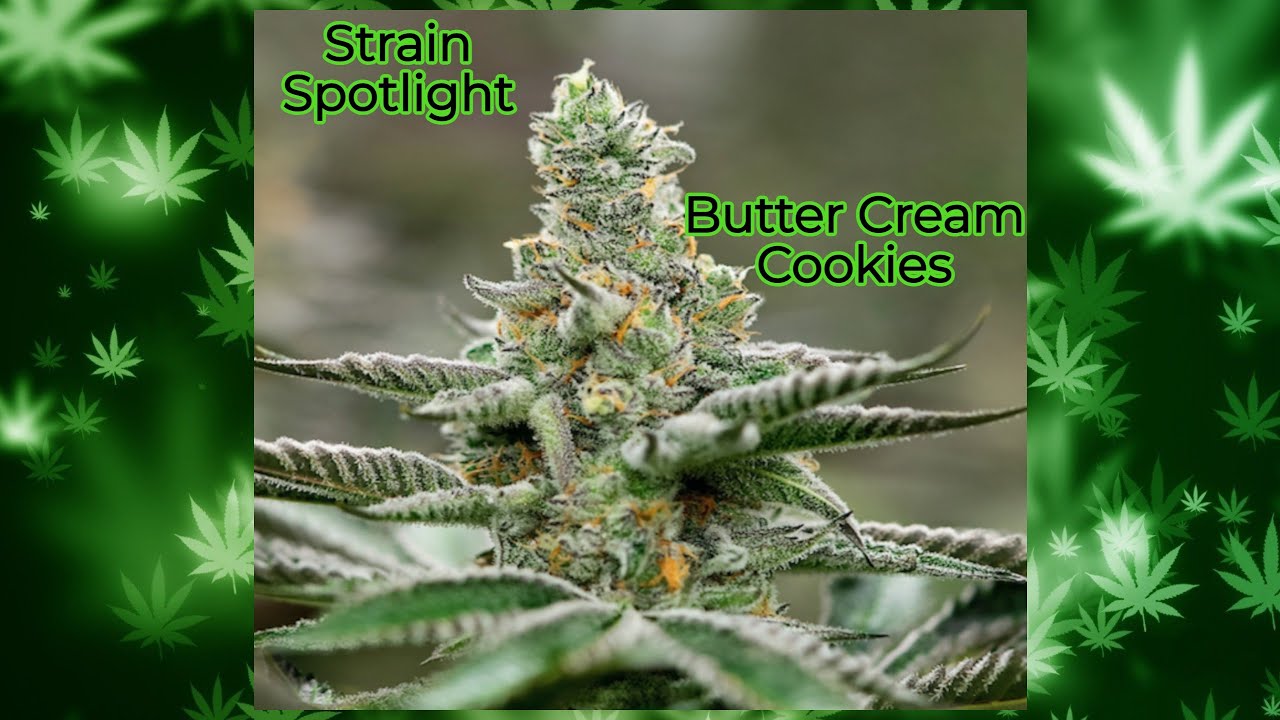 Butter Cream Cookies - Strain Spotlight