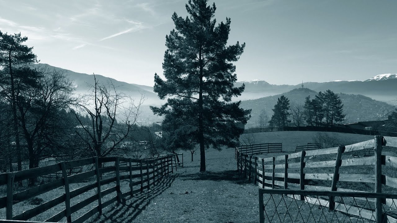 Skrivanje imovine ustaljena praksa bh. političara