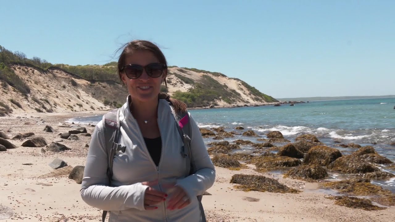Visit Martha's Vineyard - The Brickyard