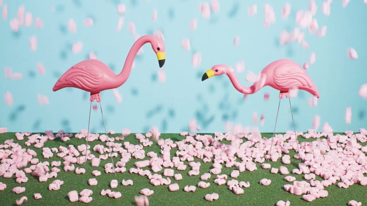 FIlmmaker Dan Salinger Uses Fiilex to Make High-Contrast Attention-Grabbing Content