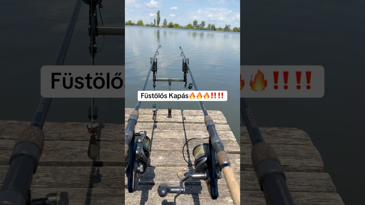 hatalmas f&uuml;st&ouml;lős kap&aacute;s‼️‼️‼️‼️🔥🔥🔥🔥🔥 💪💪 #peca #horgaszat #fishing #bojlishorg&aacute;szat #baitbait