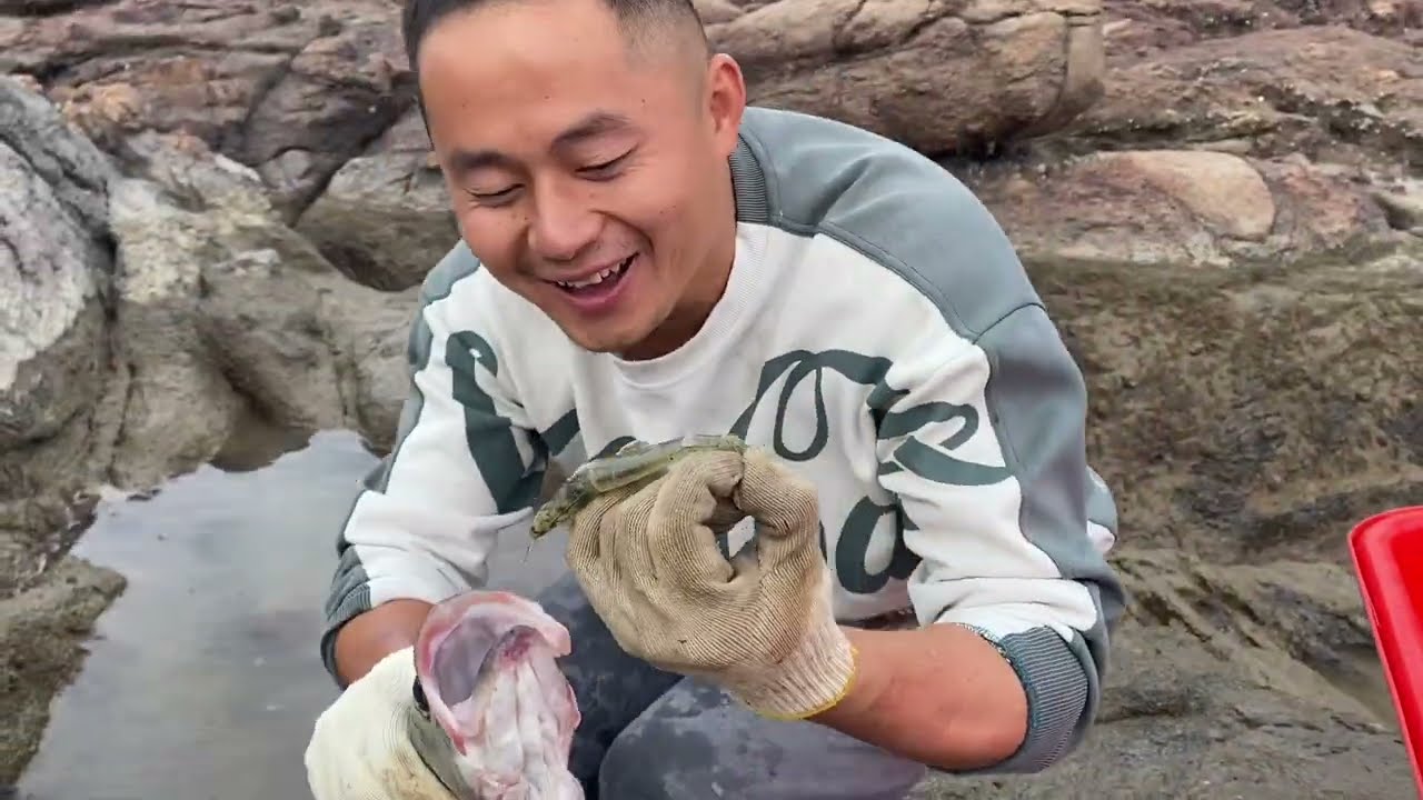 【阿向海钓赶海】三斤南美白对虾打窝 鲈鱼泛滥成灾连抓不断 鱼获爆桶大卖三千三