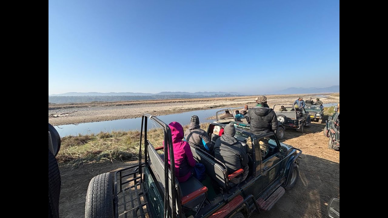 DHIKALA FOREST SAFARI WITH TIGER SIGHTING