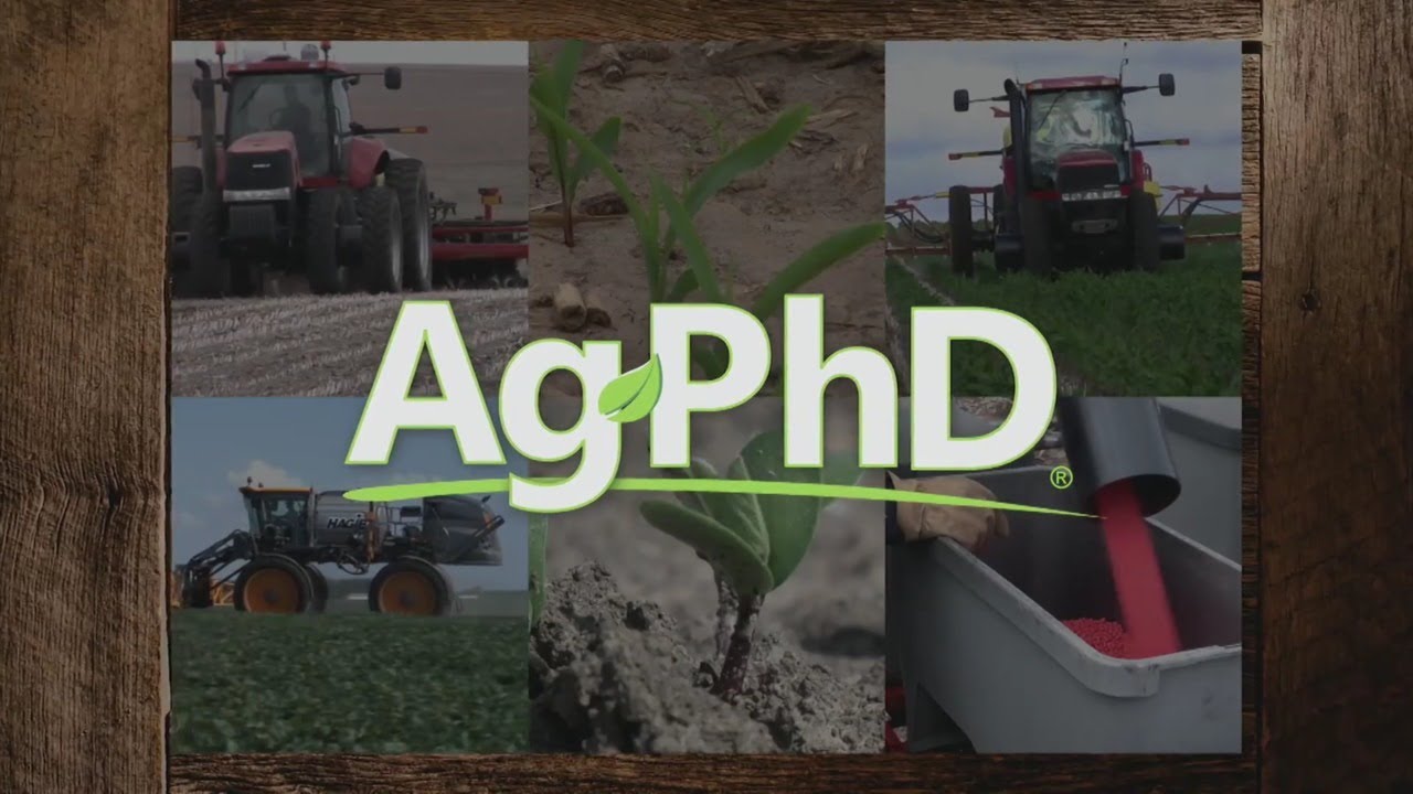 Ag PhD Show #1102 (дата эфира 19.05.19)