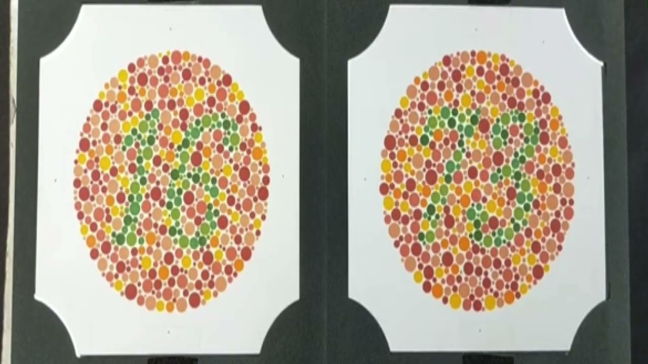 Ishihara Test of Colour Deficiency