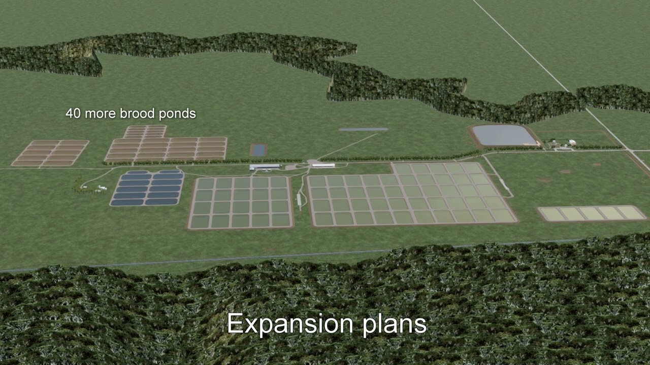 Arcadia Native Fish Hatchery Expansion | Go Fishing and Boating Victoria