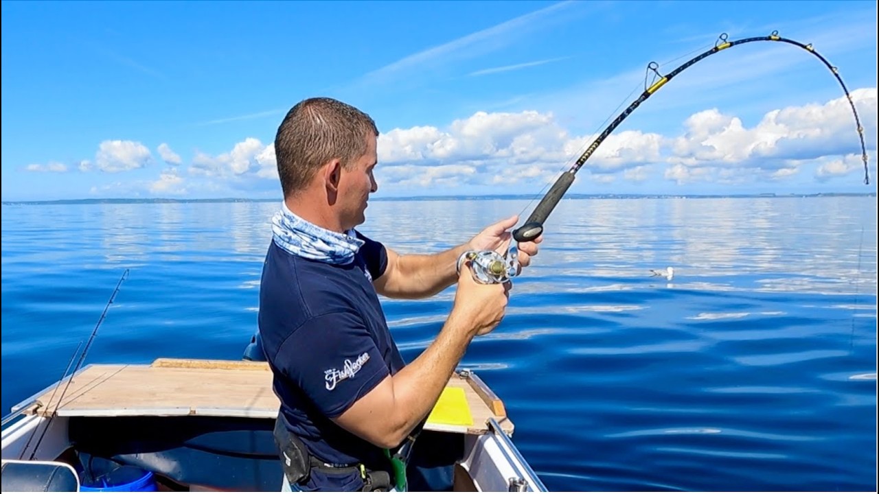 Deep Sea Wreck Fishing for food - Exploring Shipwrecks Offshore in Deep Water | The Fish Locker