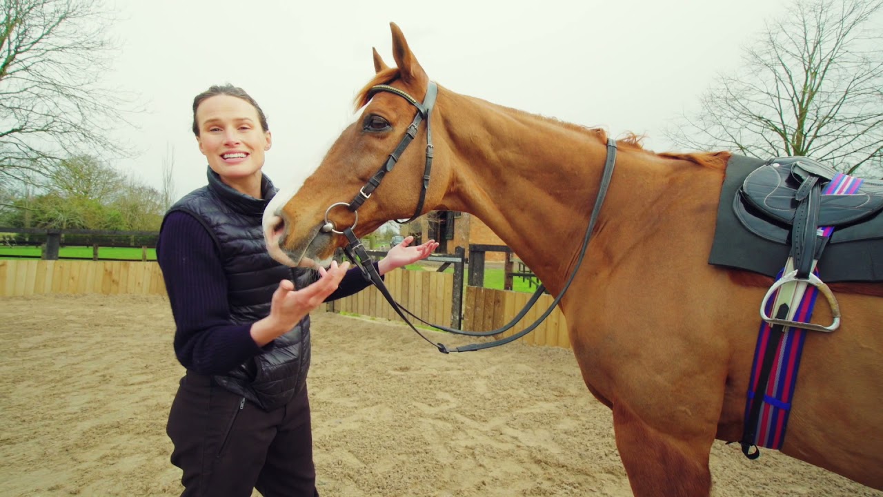 Francesca Explains EP5- Gelding