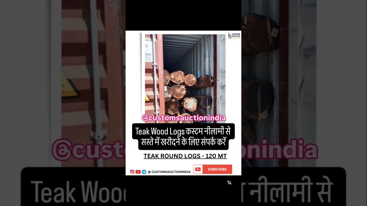 TEAK WOOD | MUNDRA PORT | IMPORT CARGO| BUSINESS#teakwood #wooden #teakwoodfactory #wood #teaklumber
