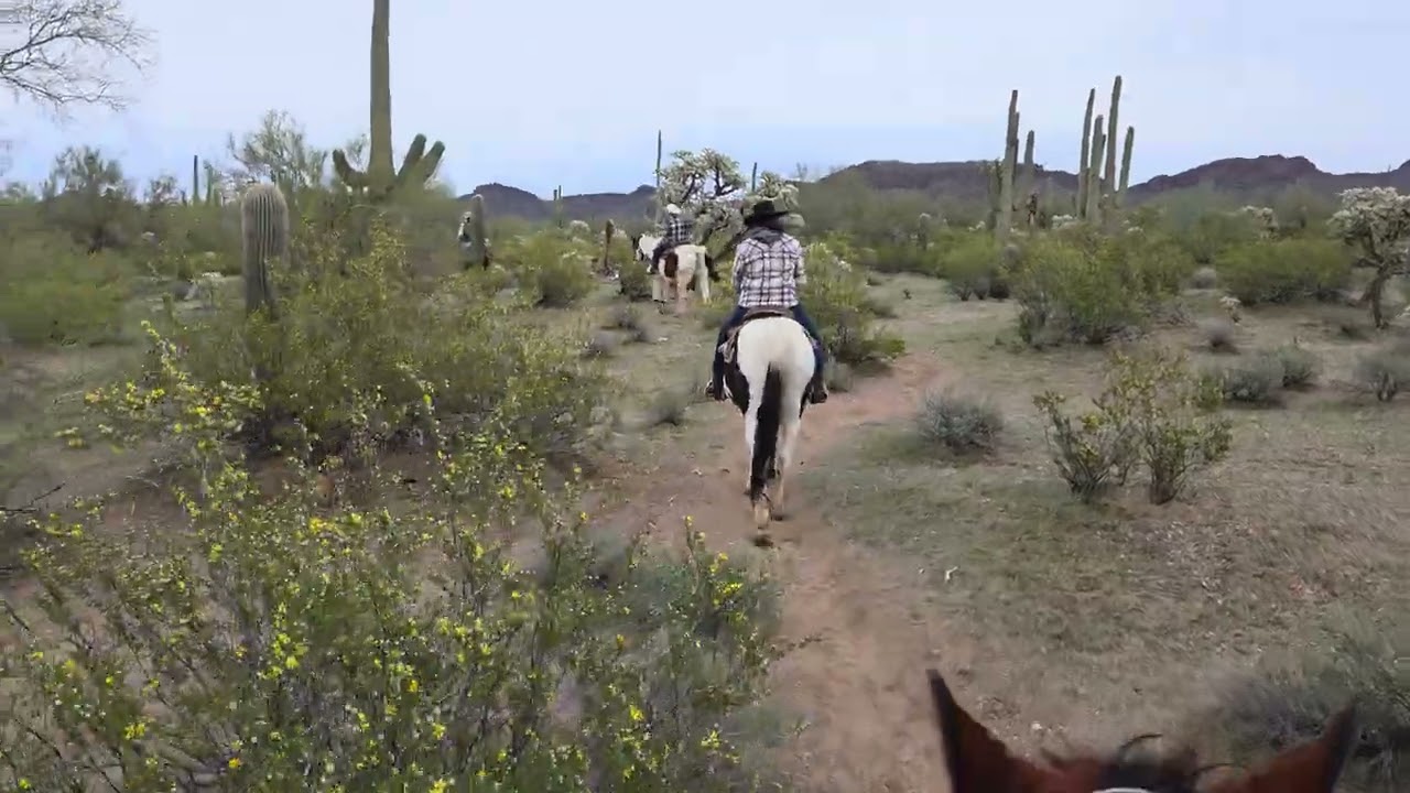 Horse riding White Stallion Ranch
