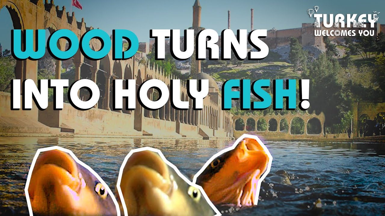 Abraham's Legendary Pool of Sacred Fish | Turkey Travel Guide