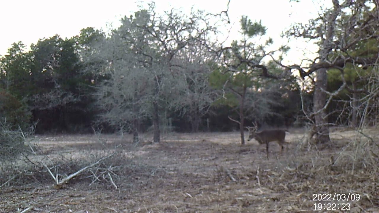 Northstar Ranch, Broken rack