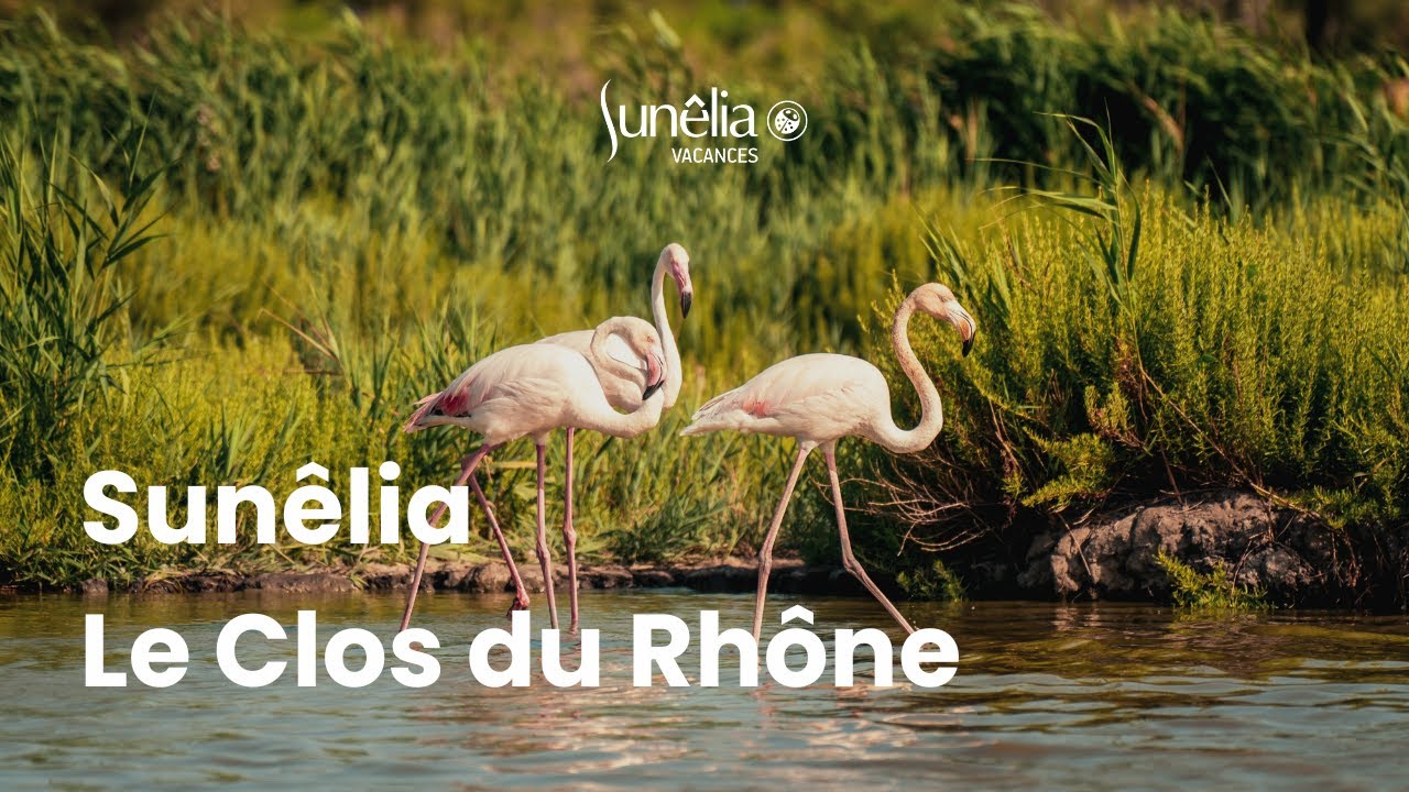 Camping Sun&ecirc;lia Le Clos du Rh&ocirc;ne 4 &eacute;toiles | Camargue