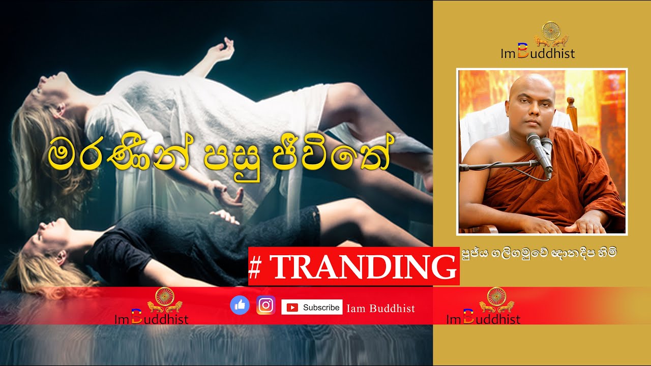 මරණීන් පසු ජීවිතේ  -  Ven Galigamuwe Gnanadeepa Thero
