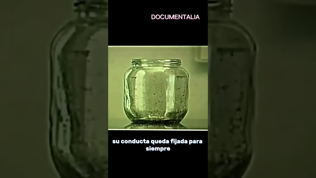 &ldquo;El horrible secreto del frasco de pulgas (trauma generacional)