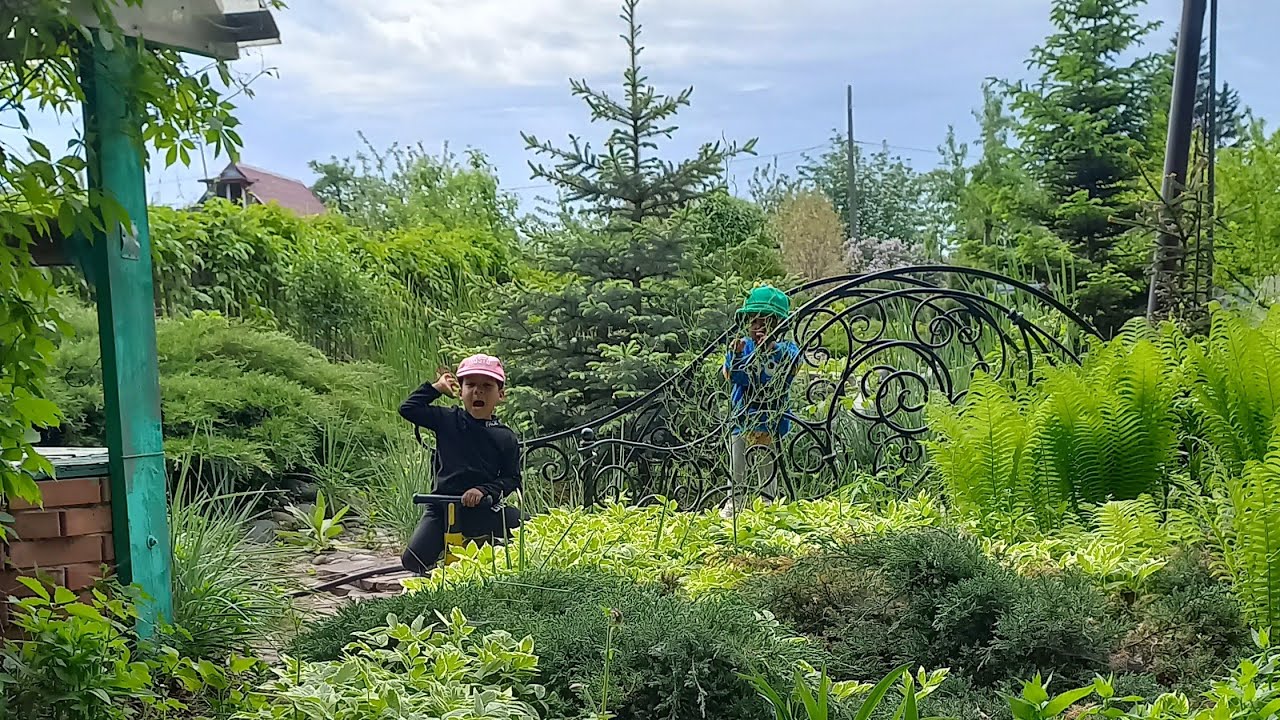 Почему моя дочь вернулась в Россию