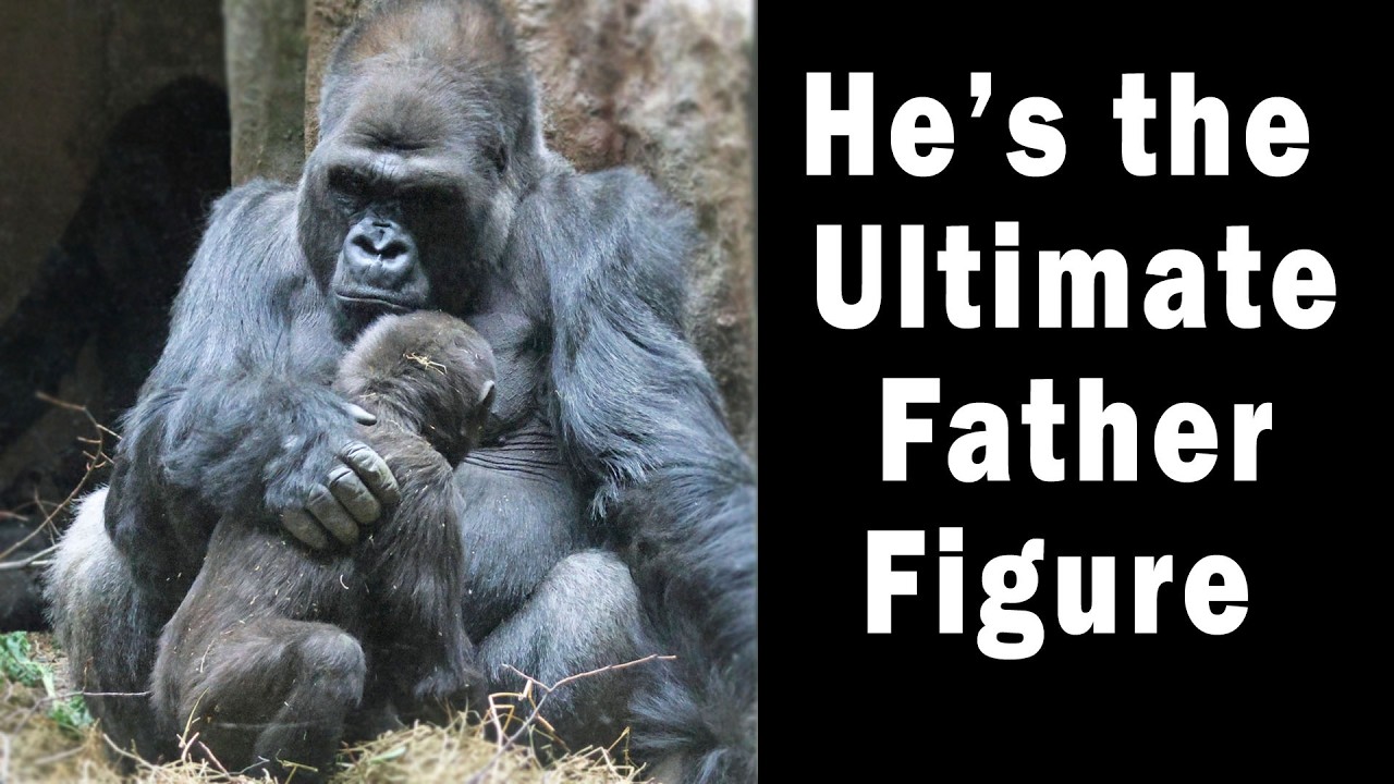 He Spent Decades Without a Family…Then Became a Father at 34