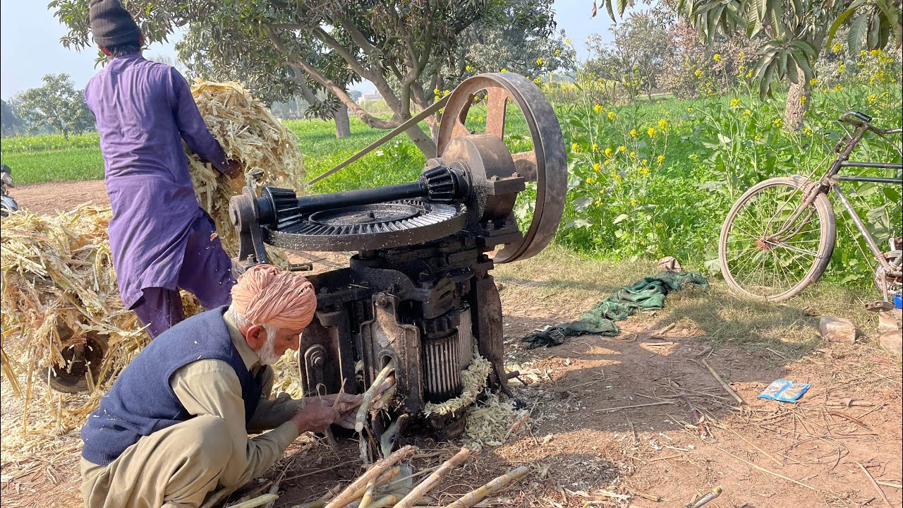 Extracting sugar cane juice and making jaggery 