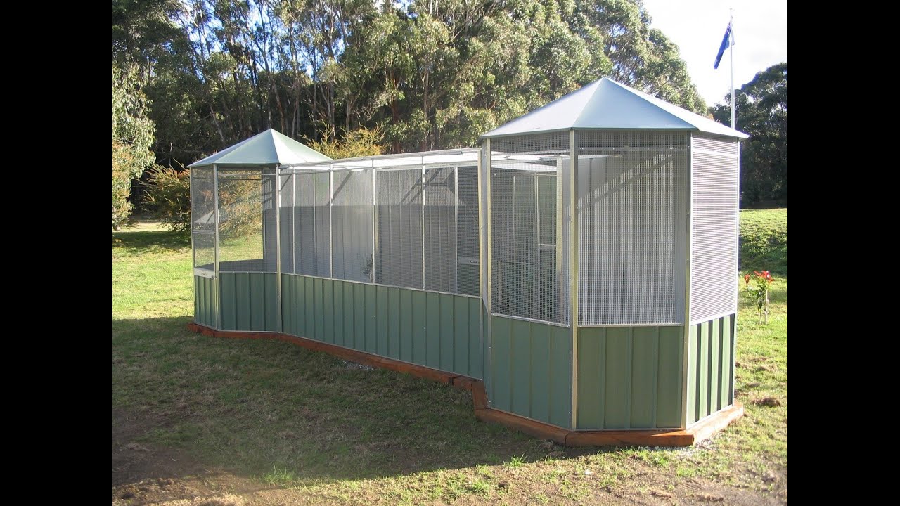 Bird Aviary: The Ultimate Step-by-Step Outdoor Build!