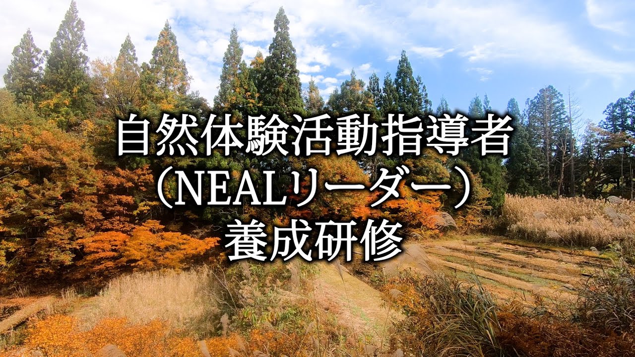 自然体験活動指導者（NEALリーダー）養成研修とは