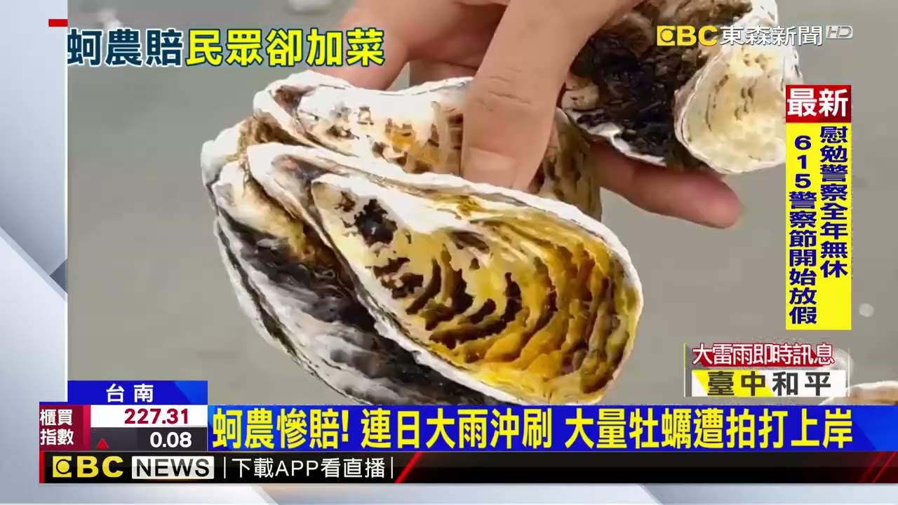 免費蚵仔大餐！ 台南岸邊牡蠣成堆 民眾撿回家吃@newsebc