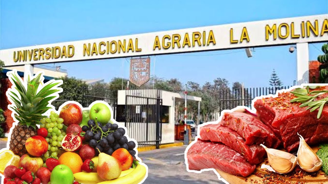 ¿QUÉ ENCONTRAMOS EN LA U  AGRARIA EN EL 2022? || SECCIÓN DE PRODUCTOS EN VENTAS