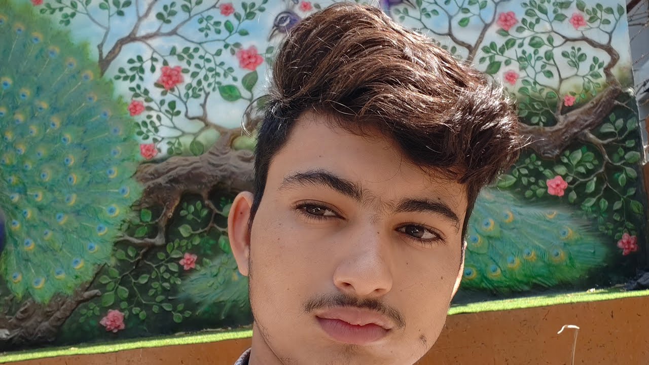 Narpat blogger लाइव है!