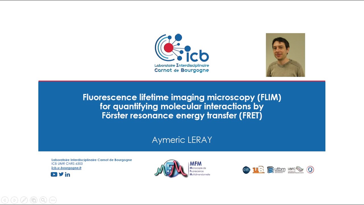 Fluorescence lifetime imaging microscopy (FLIM) for quantifying molecular interactions by FRET