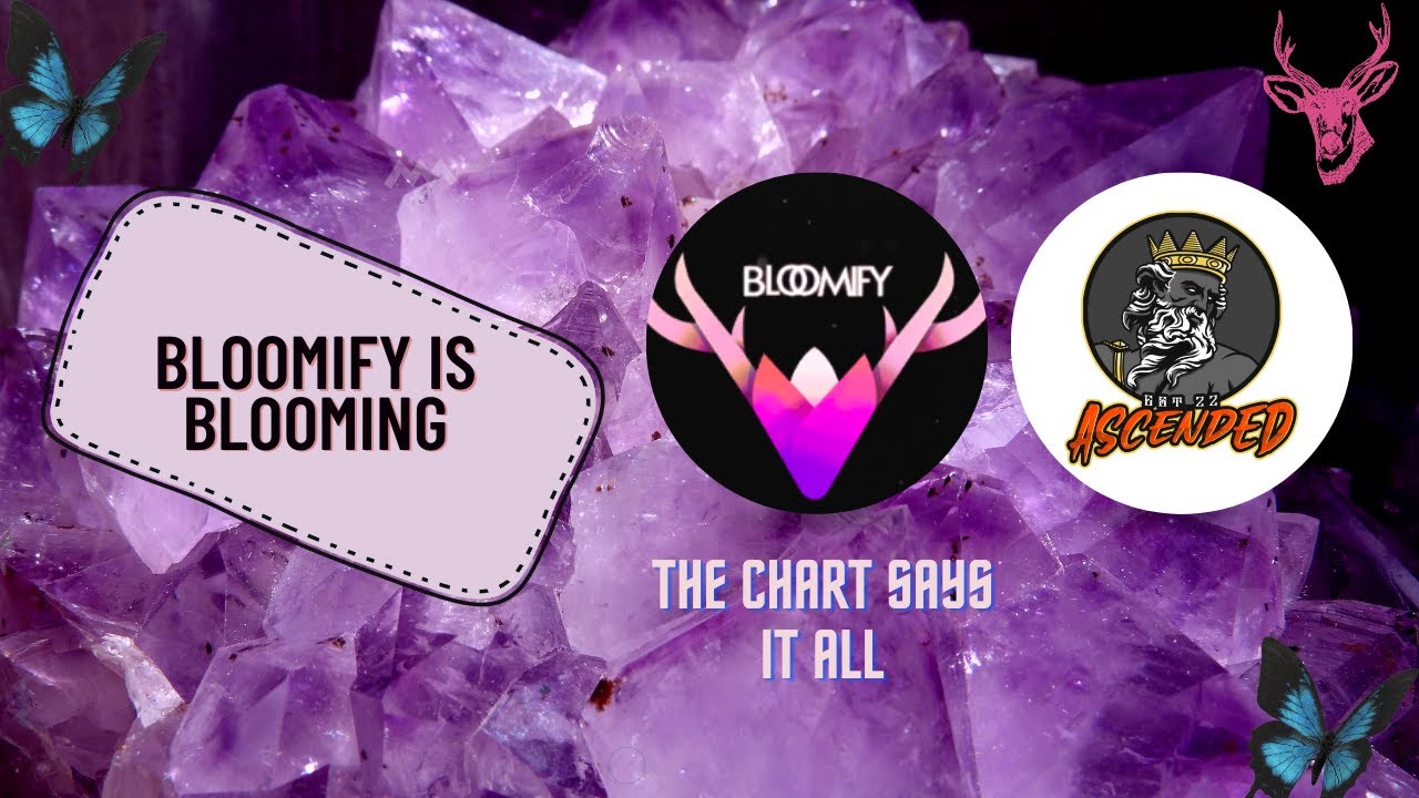 Bloomify is a steady passive income generator