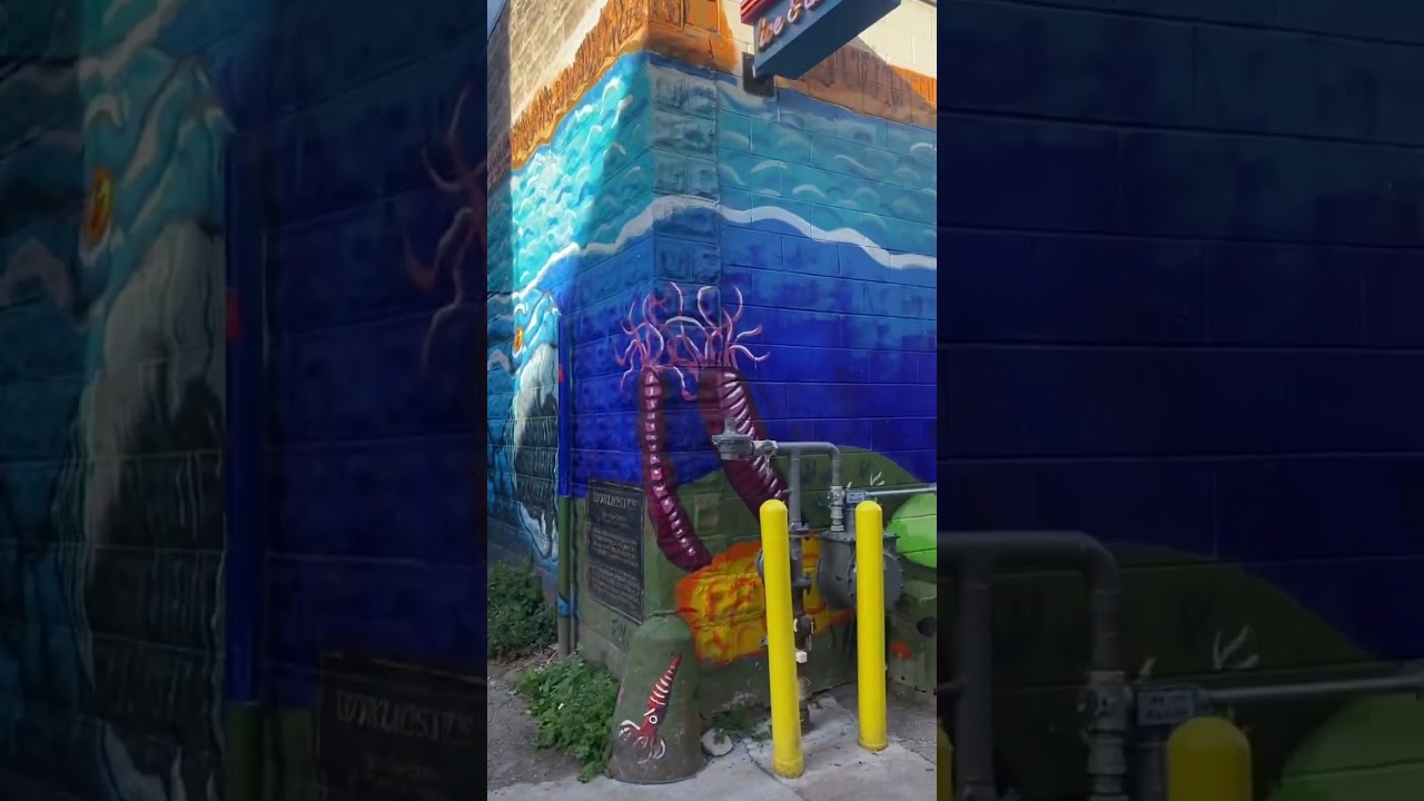 Graffiti N Alleys Iowa City Iowa