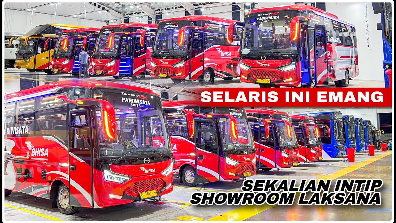 Cirebon Borong Borong Laksana! Medium bus terlaris dan bikin Cuan Pengusaha - BhiSa 