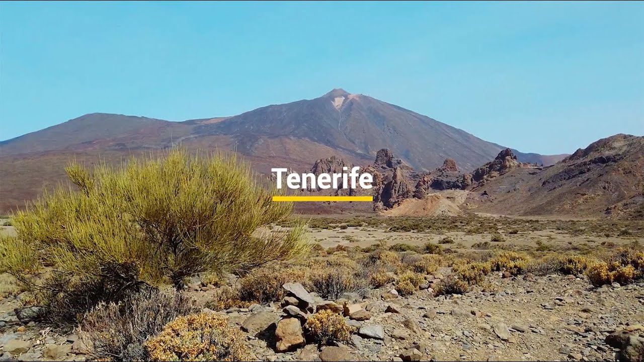 Una vuelta por Tenerife