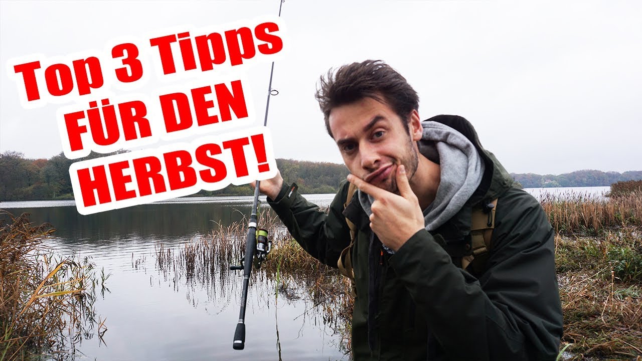 DAS MUSST Du &uuml;bers Angeln im Herbst wissen! Top 3 Tipps f&uuml;r mehr Zander mit dem Gummifisch!