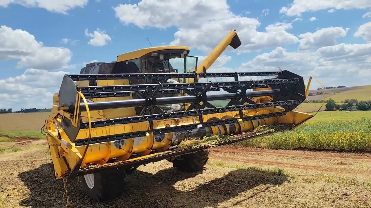 Os guri do agro não pára #