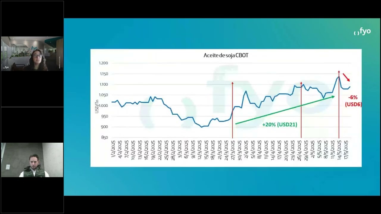 Mercado argentino de granos, analizando oportunidades en un contexto volátil.