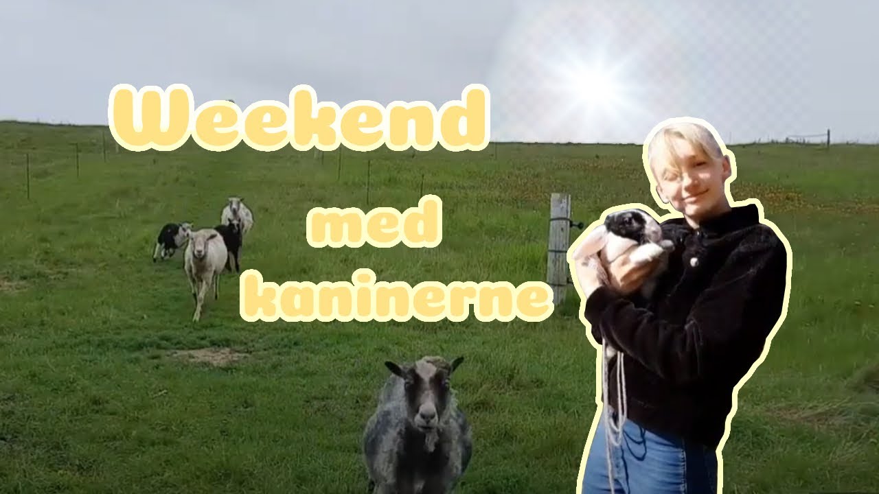 En weekend med kaninerne