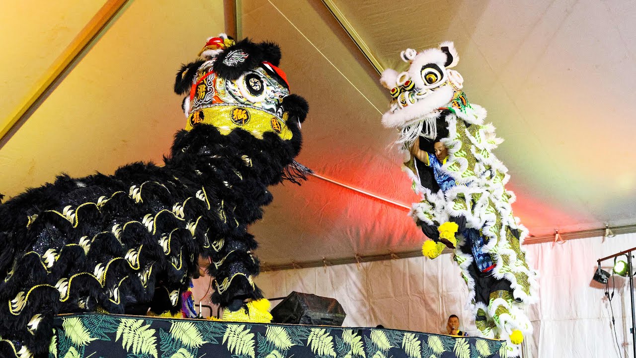 Gee Yung CNY 2026 lion dance skit
