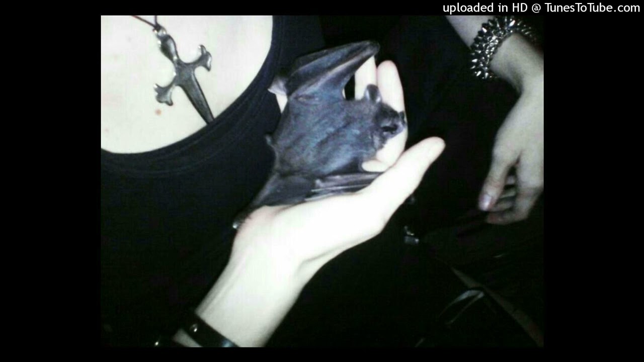 fimiguerrero + esdeekid + jerk type beat - "break the sky" (prod. mp3mp3mp3)