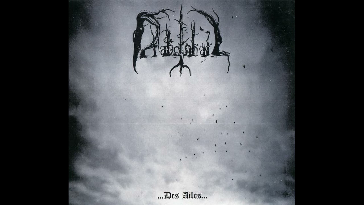 Drakonhail  - ...Des Ailes...  (2011)