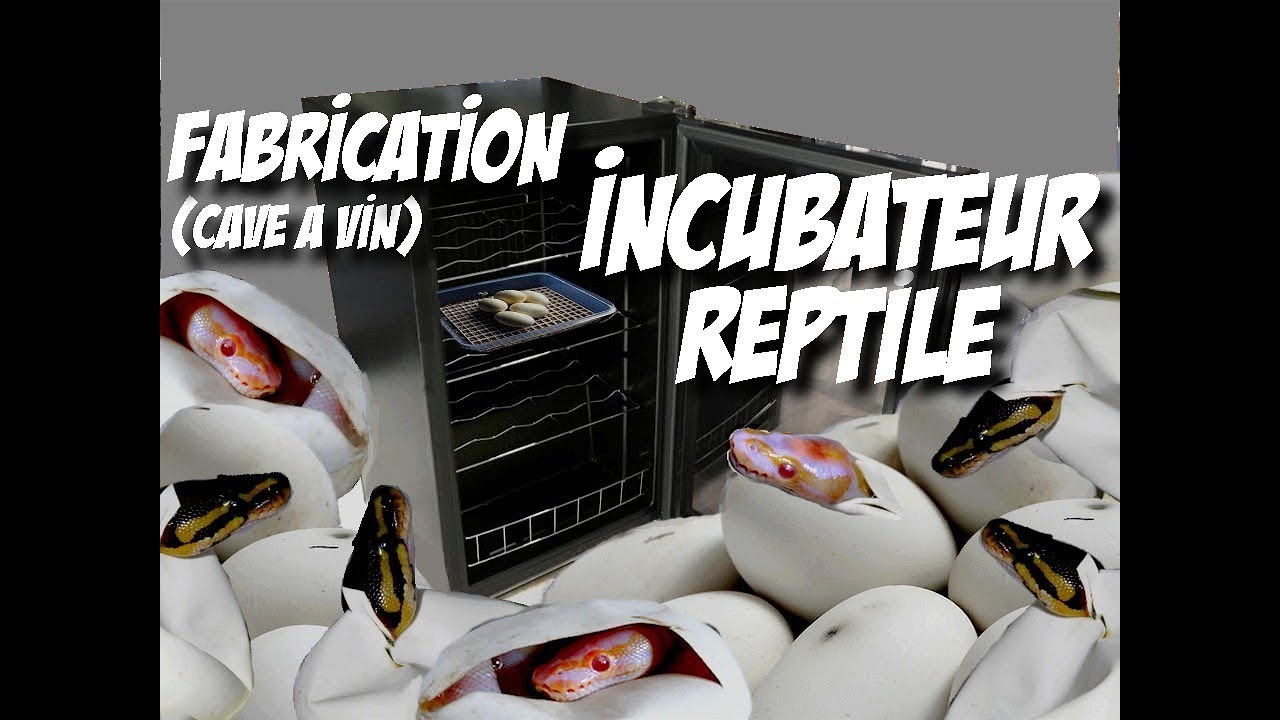 Fabrication INCUBATEUR reptile / Cave à vin.