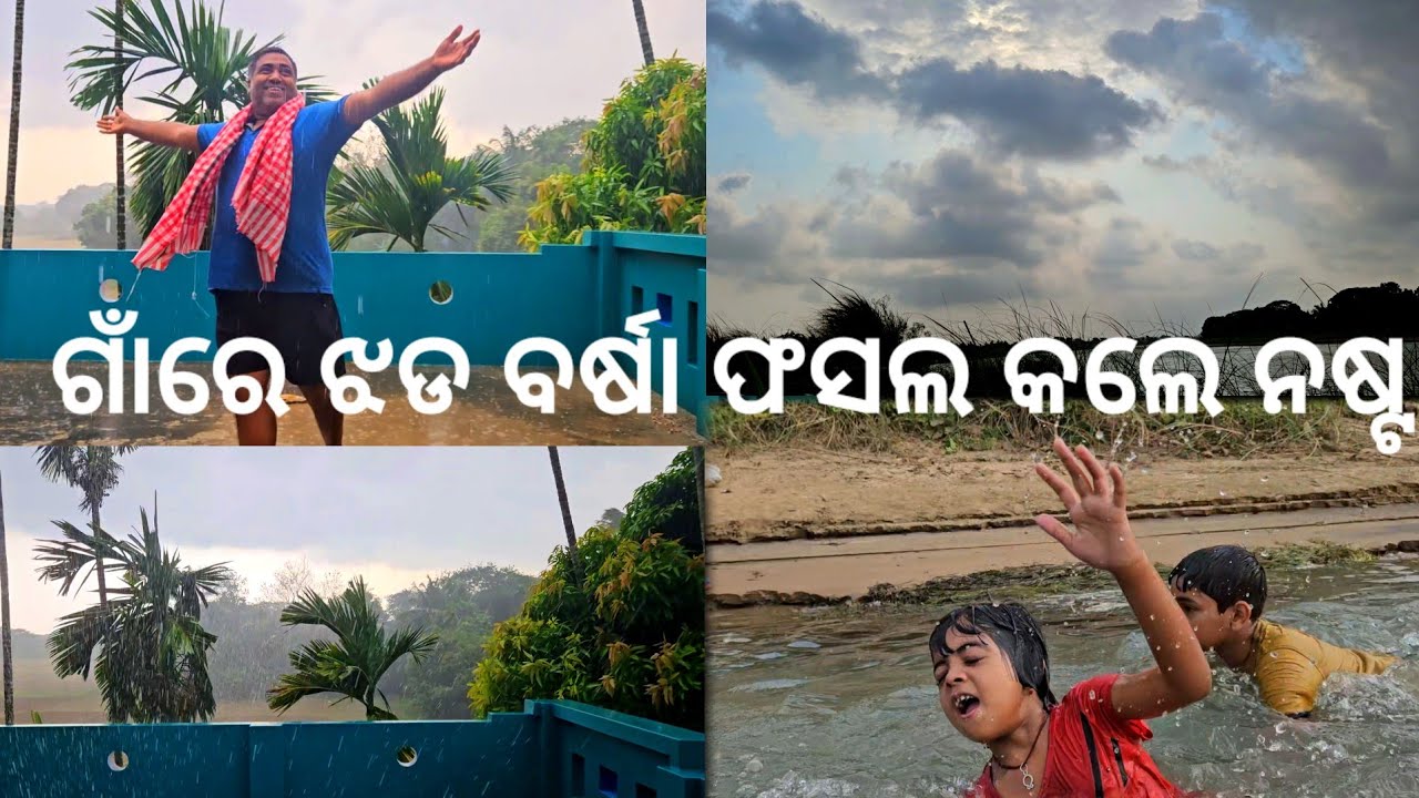 ଗାଁରେ ପ୍ରବଳ ଝଡ ବର୍ଷା ଫସଲ କଲେ ନଷ୍ଟ l Gouranga Nayak Odia Vlogs