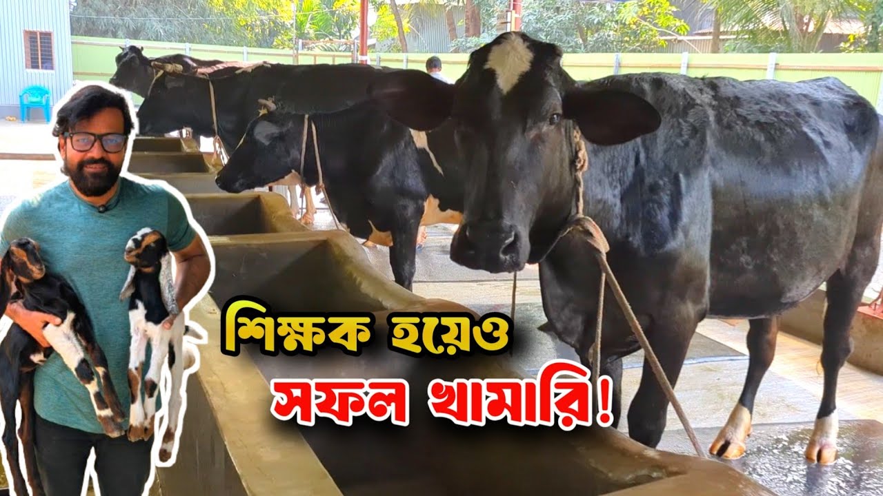 শিক্ষক থেকে সফল খামারি -এক অনুপ্রেরণার গল্প |Goat and Cow Farming | Swadesh Agro |