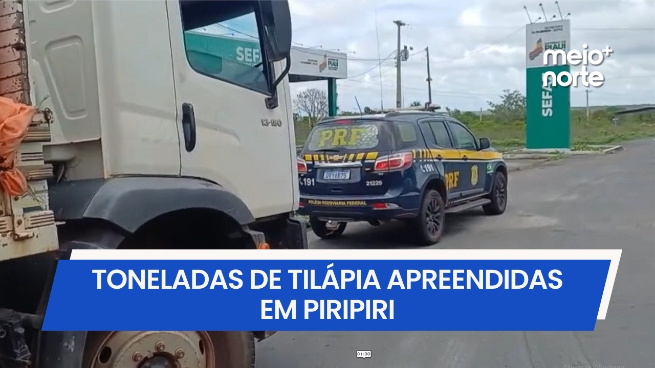 Caminhão carregado de tilápia é apreendido em fiscalização no Piauí | Meio Norte