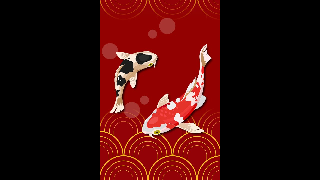 koi legend the legend of Dragons Gate Koi Fish turning into a dragon
